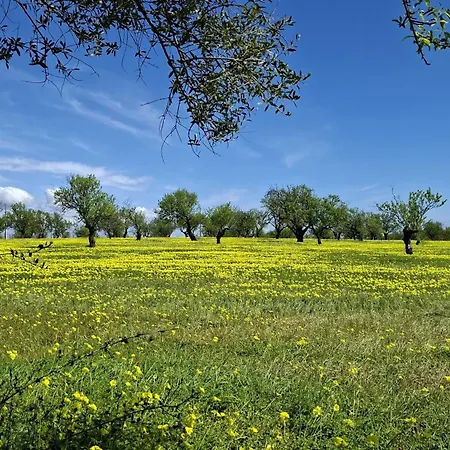 Апартаменты Beehappy Gardens T1